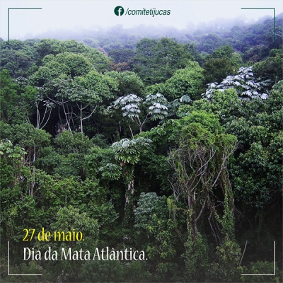 27 de maio - dia da Mata Atlântica