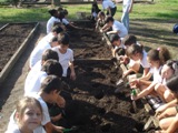 Siecesc desenvolve projeto ambiental na escola