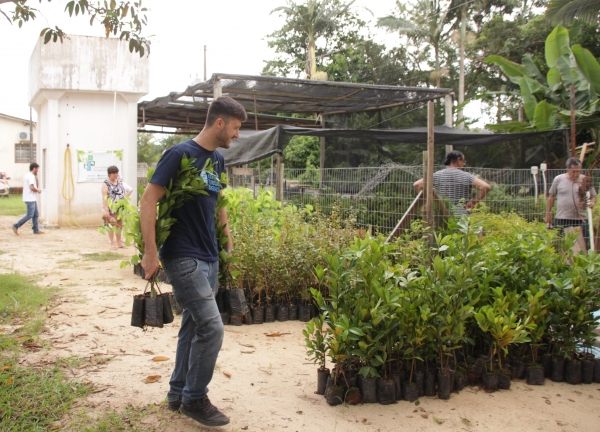 COMITÊ RECEBE 4.500 MUDAS DE ÁRVORES NATIVAS