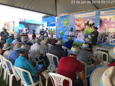 Comitê Chapecó/Irani participa do CDA 2019