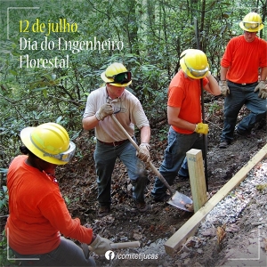 12 de julho: dia do Engenheiro Florestal