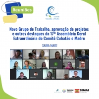 Novo Grupo de Trabalho, aprovação de projetos e outros destaques da 17ª Assembleia Geral Extraordinária do Comitê Cubatão e Madre