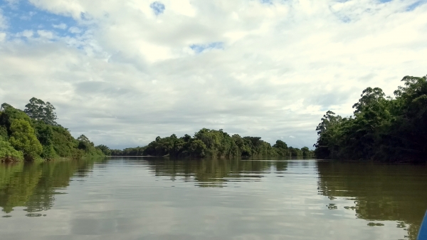 Análise de águas evidencia acidez dos Rios Mãe Luzia e Araranguá