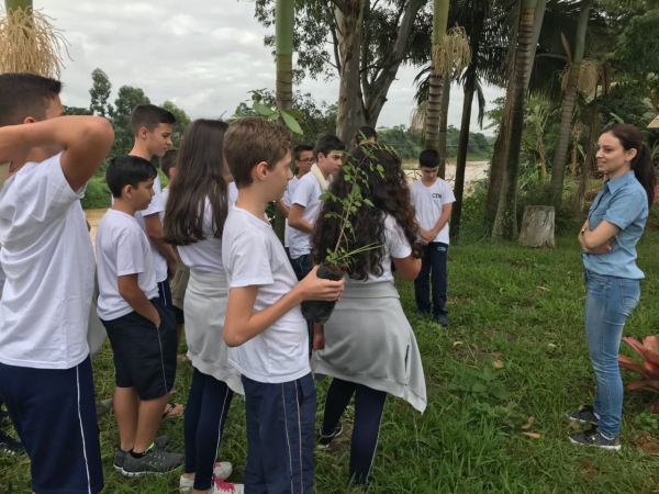 ESTUDANTES DE CANELINHA ENGAJADOS NA RECUPERAÇÃO DA MATA CILIAR