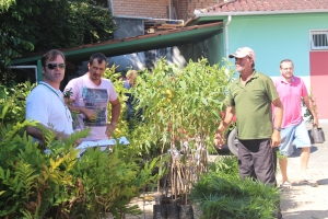 Comitê da Bacia entrega 2,5 mil mudas de espécies nativas a municípios do Vale do Rio Braço do Norte