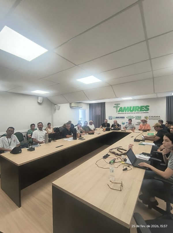 Presidente do Comit&ecirc; Canoas e Pelotas participa de reuni&atilde;o da C&acirc;mara Tem&aacute;tica do Pinh&atilde;o