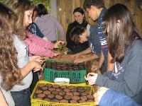 Alunos visitam Viveiro de Mudas Nativas