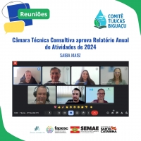 Câmara Técnica Consultiva aprova Relatório Anual de Atividades de 2024