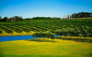 IMPORTÂNCIA DO PRH PARA A AGRICULTURA