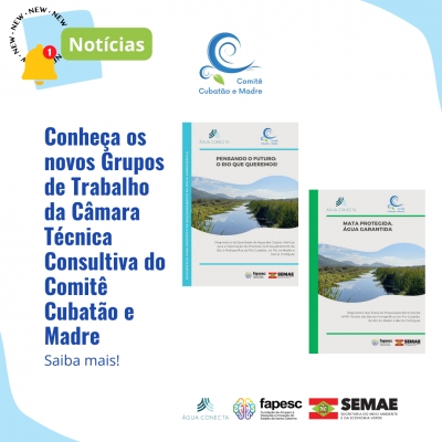 Conheça os novos Grupos de Trabalho da Câmara Técnica Consultiva do Comitê Cubatão e Madre