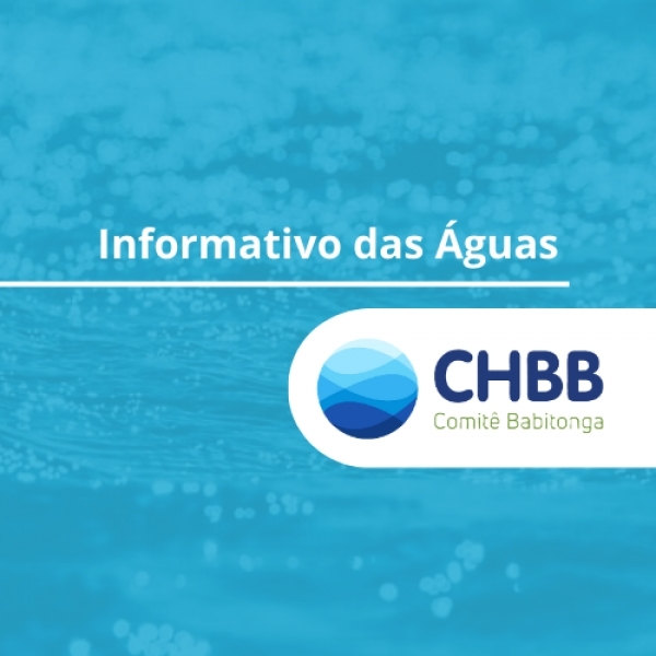 Confira o Boletim Informativo de Maio e Junho do Comitê Babitonga