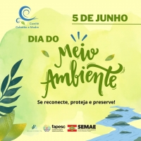 Dia do Meio Ambiente: se reconecte, proteja e preserve a natureza!