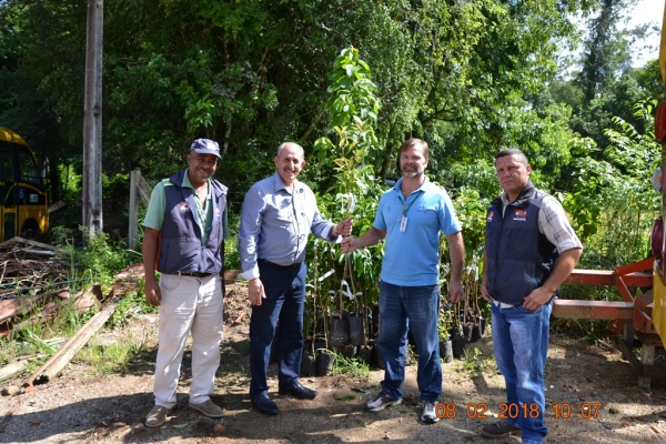 Comitê Tubarão contribui para a recomposição de vegetação em área de deslizamento