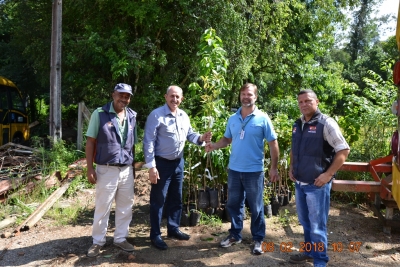 Comitê Tubarão contribui para a recomposição de vegetação em área de deslizamento