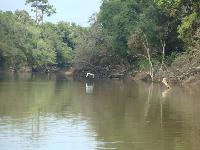 Comitê Rio Canoinhas recebe aproximadamente 50 vídeos que demonstram o rio que temos e o rio que queremos ter?