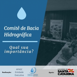 O Comitê de Bacia Hidrográfica e a gestão dos recursos hídricos