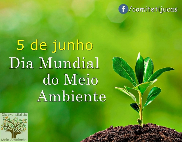 Compreensão ambiental: o 5 de junho