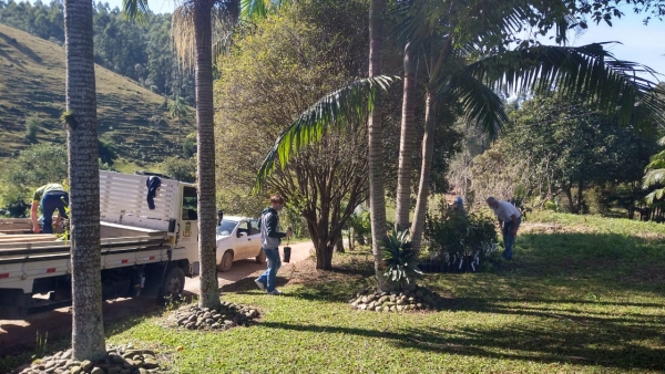 Quatro municípios são beneficiados com mudas nativas doadas pelo Comitê da Bacia Tubarão, Complexo Lagunar e Bacias Contíguas