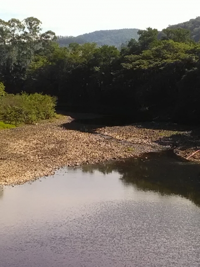 Chuva ajuda, mas ainda não reverte impactos da estiagem na região da Bacia do Rio Araranguá