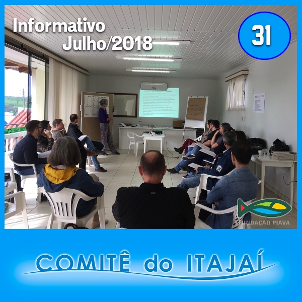 Informativo 31 - Julho de 2018