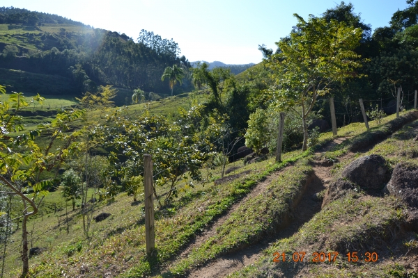 Experiência exitosa fará agricultor aumentar área de proteção a nascente