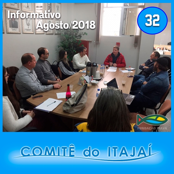 Informativo 32 - Agosto de 2018